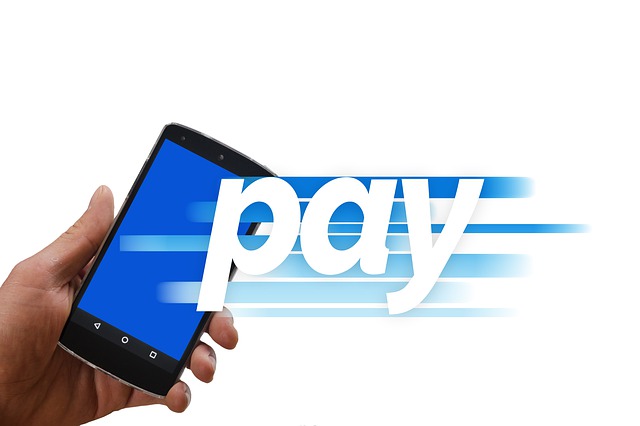 Platforms That Ensure Penetration of Digital Payments and Makes India a Cashless Economy